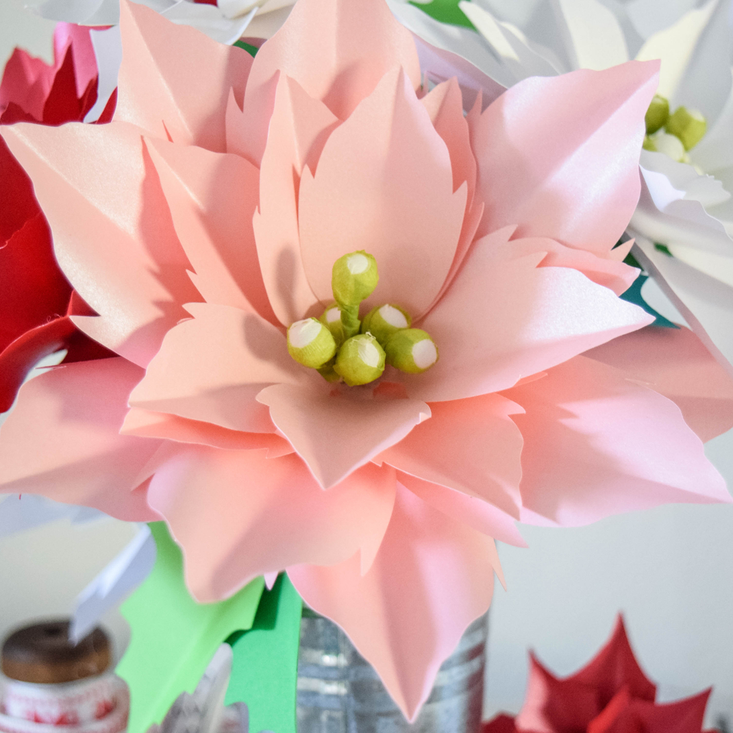 Mistletoe & Poinsettia Wreath